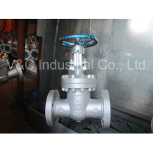 API Pneumatic Control Flanged Wedge Gate Valve